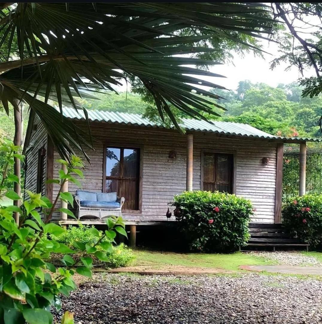 Posada Los Cocos Morrocoy Hotel Tucacas Exterior photo